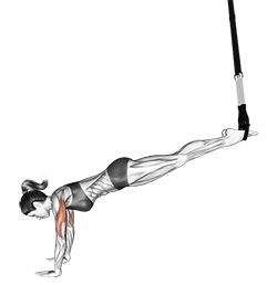 Suspension Incline Push-up exercise demonstration
