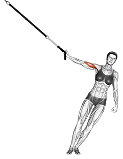 Suspension One Arm Biceps Curl exercise demonstration for Biceps, and Upper Arms, Suspension