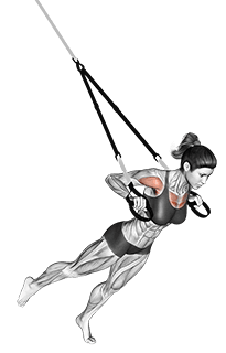Suspension One Leg Chest Press exercise demonstration for Chest, Suspension