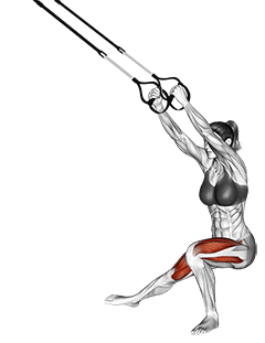 Suspension Side Lunge exercise demonstration for Quadriceps, and Thighs, Suspension