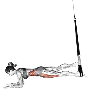Suspension Single Leg Plank exercise demonstration