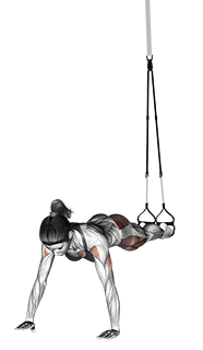 Suspension Spiderman Push-up exercise demonstration for Hips, Suspension