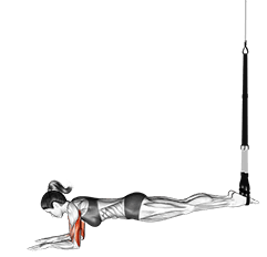 Suspension Triceps Extension Push-up exercise demonstration