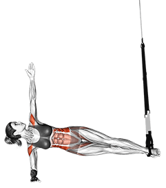 Suspension Twist Side exercise demonstration for Waist, Suspension