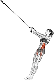 Suspension Twist-Up exercise demonstration