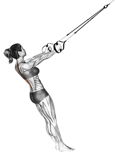 Suspension Upper Back Stretch exercise demonstration
