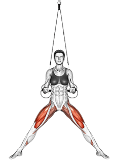 Suspension Side Stretch exercise demonstration