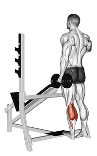 Dumbbell Standing Single Leg Calf Raise exercise demonstration for Calves, Dumbbell