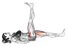 Lying Simultaneous Alternating Straight Leg Raise exercise demonstration for Hips, Body weight