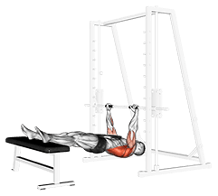 Weighted Inverted Row exercise demonstration