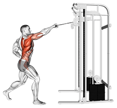 Cable Twisting Standing high Row exercise demonstration for Back, Cable