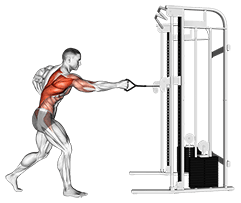 Cable Twisting Standing Row exercise demonstration
