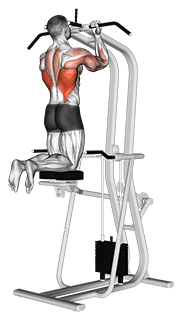 Assisted Close-grip Underhand Chin-up exercise demonstration for Back, Leverage machine