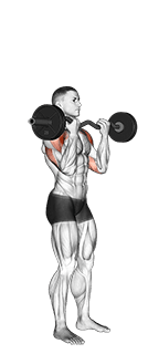 EZ-Bar Standing Overhead Press exercise demonstration for Shoulders, EZ Barbell