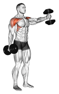 Dumbbell Standing Alternate Vertical Front Raises exercise demonstration