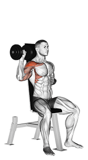 Dumbbell Seated One Arm Shoulder Press exercise demonstration