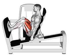 Lever Seated Squat exercise demonstration for Quadriceps, and Thighs, Leverage machine