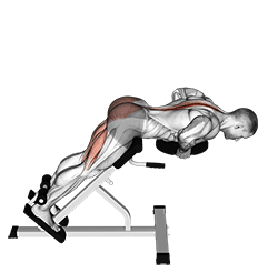 Plate Hyperextension exercise demonstration for Hips, Weighted