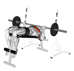 Reverse Grip Decline Bench Press exercise demonstration for Chest, Barbell
