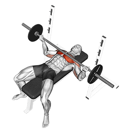 Wide Reverse Grip Bench Press exercise demonstration for Chest, Barbell