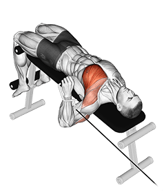 Cable Decline One Arm Press exercise demonstration for Chest, Cable