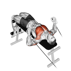 Decline Press exercise demonstration for Chest, Cable