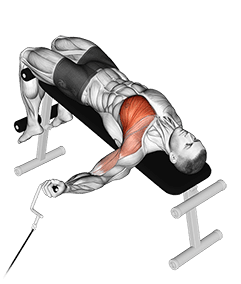 Cable One Arm Decline Chest Fly exercise demonstration for Chest, Cable