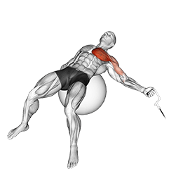 Cable One Arm Fly on Exercise Ball exercise demonstration for Chest, Cable
