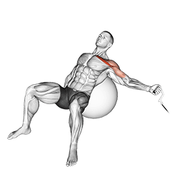 Cable One Arm Incline Fly on Exercise Ball exercise demonstration