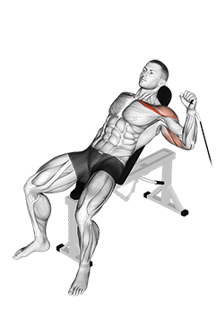 Cable One Arm Incline Press exercise demonstration