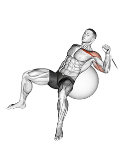 Cable One Arm Incline Press on Exercise Ball exercise demonstration