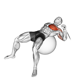 Cable One Arm Press on Exercise Ball exercise demonstration for Chest, Cable
