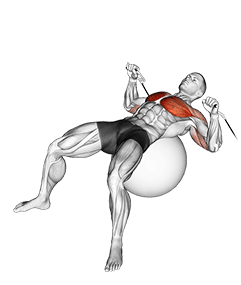 Cable Press on Exercise Ball exercise demonstration for Chest, Cable