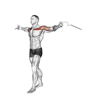 Upper Chest Crossovers exercise demonstration