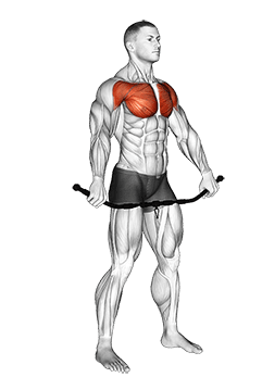 Chest and Front of Shoulder Stretch exercise demonstration