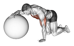 Chest Stretch with Exercise Ball exercise demonstration for Chest, Stability ball