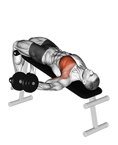 Dumbbell Decline One Arm Fly exercise demonstration for Chest, Dumbbell