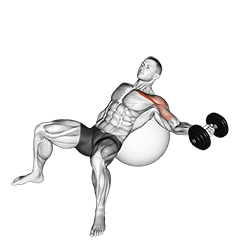 Dumbbell Incline One Arm Fly on Exercise Ball exercise demonstration