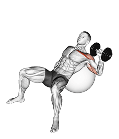 Dumbbell Incline One Arm Press on Exercise Ball exercise demonstration
