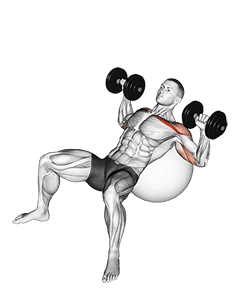 Dumbbell Incline Press on Exercise Ball exercise demonstration
