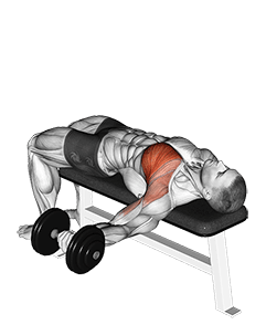 Dumbbell One Arm Bench Fly exercise demonstration for Chest, Dumbbell