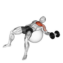Dumbbell One Arm Chest Fly on Exercise Ball exercise demonstration for Chest, Dumbbell