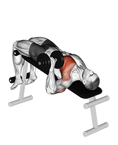 Dumbbell One Arm Decline Chest Press exercise demonstration for Chest, Dumbbell