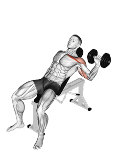 Dumbbell One Arm Incline Chest Press exercise demonstration