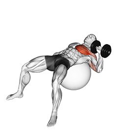 Dumbbell One Arm Press on Exercise Ball exercise demonstration for Chest, Dumbbell