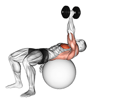 Dumbbell One Arm Pullover on Exercise Ball exercise demonstration for Chest, Dumbbell