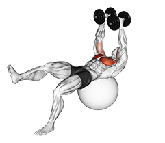 Dumbbell One Leg Fly on Exercise Ball exercise demonstration for Chest, Dumbbell