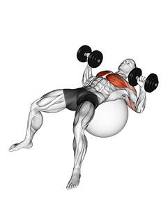Dumbbell Press on Exercise Ball exercise demonstration for Chest, Dumbbell