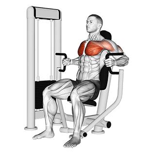 Machine Inner Chest Press exercise demonstration