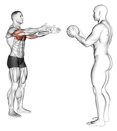 Medicine Ball Chest Pass exercise demonstration